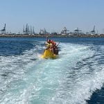 Banana acuática en Valencia