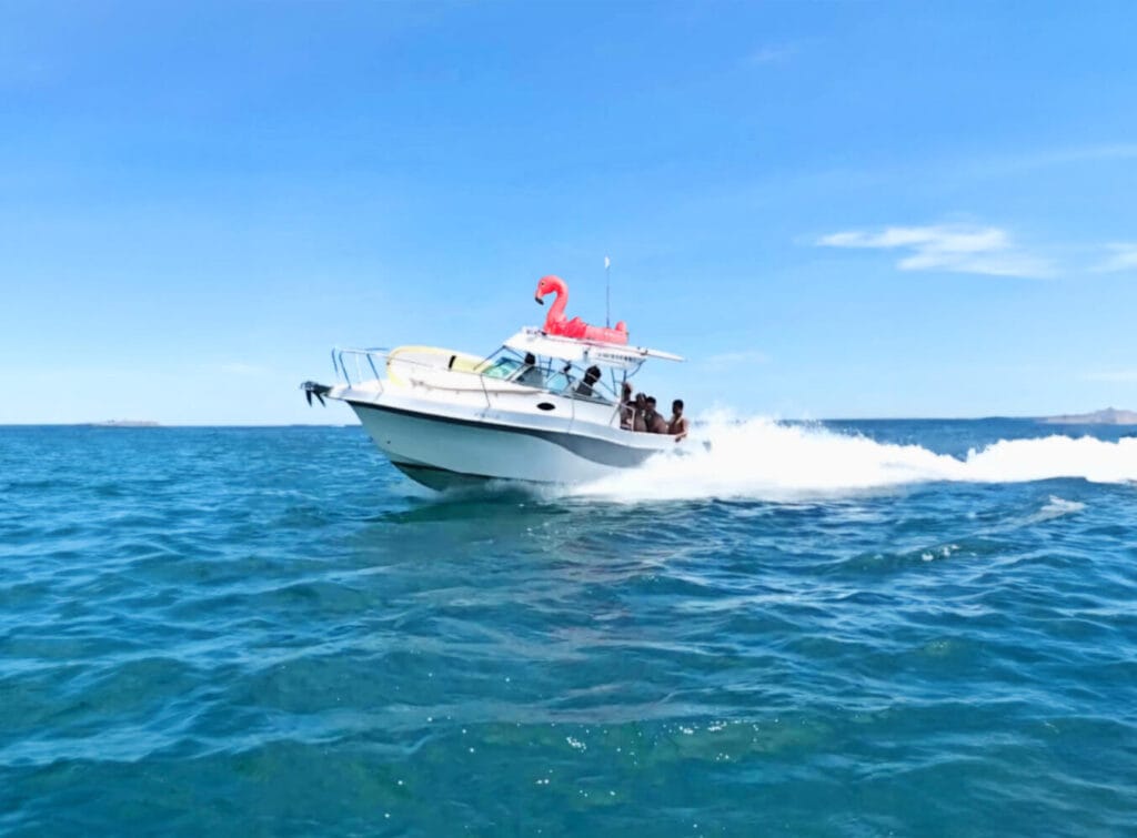 Rent Yatch in Valencia