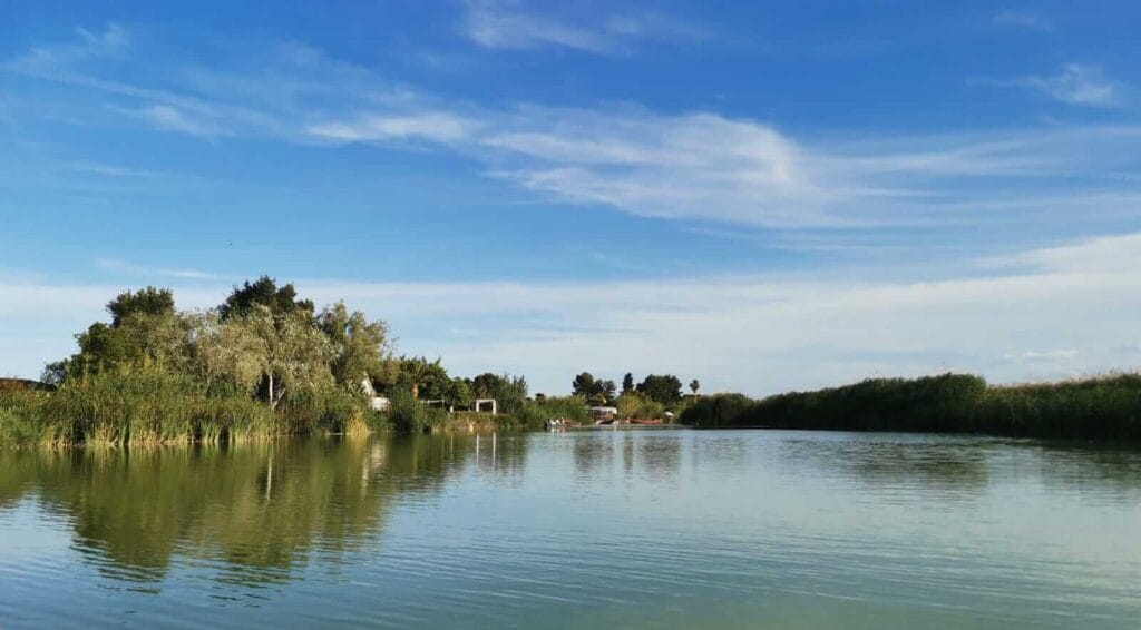 Paseos en barca por la Albufera de Valencia