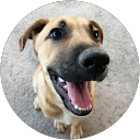 ChIJ4YDqhbtRYA0RhMw6yY9s40Y 64087a69ea910658b5686bea1b55207f Espectáculos As de Picas – Despedidas y Eventos en Valencia